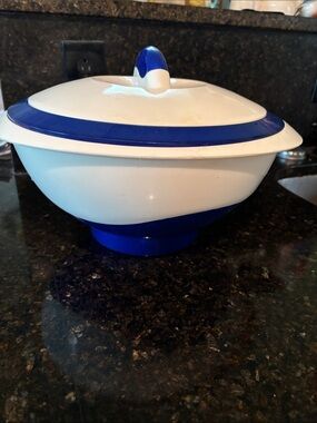 White and Blue Insulated Serving Bowl